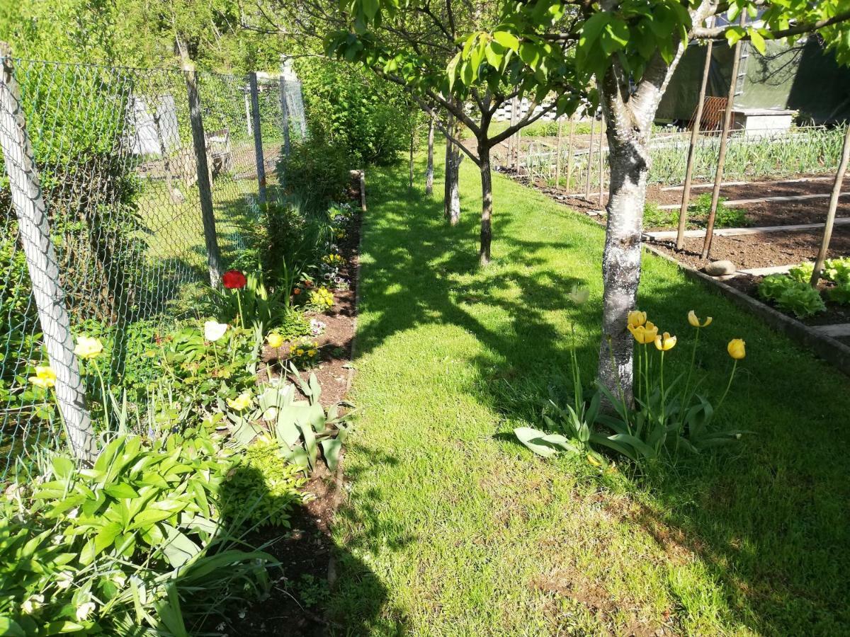 Apartment Sopar Škofja Loka Dış mekan fotoğraf